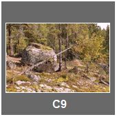 C9