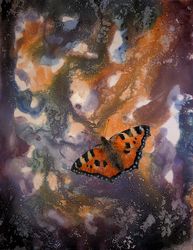 aglais urticae