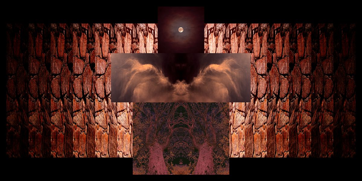 Moon Night